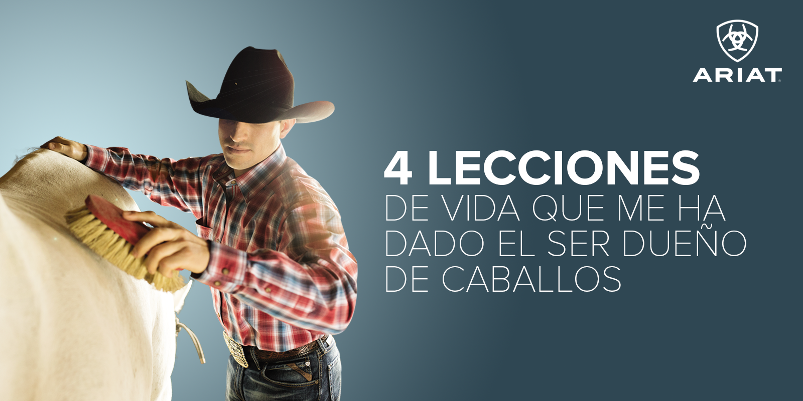 4 lecciones de vida que me ha dado el ser dueño de caballos