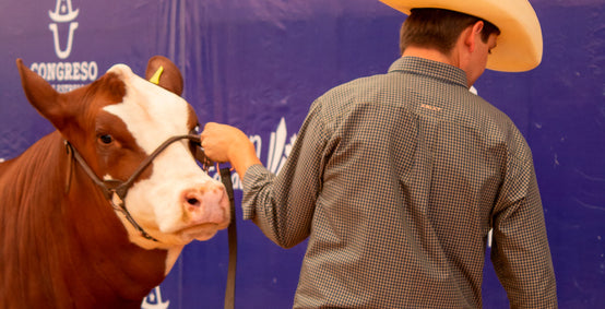 Ariat, orgulloso patrocinador del Campeonato y Congreso de las Estrellas 2025