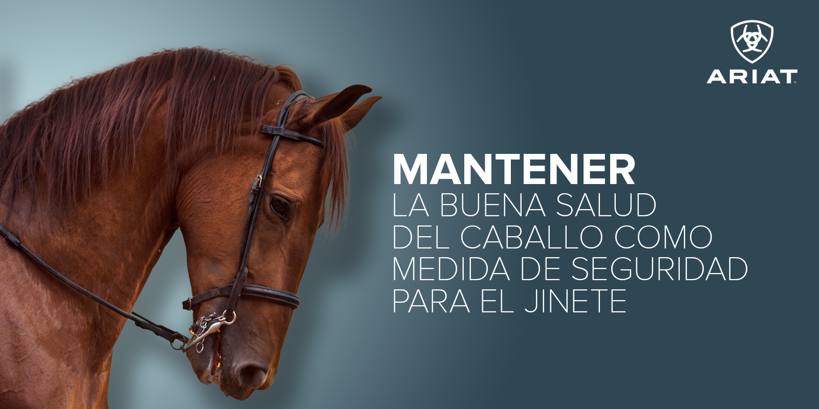 Mantener la buena salud del caballo como medida de seguridad para el jinete