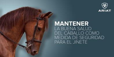 Mantener la buena salud del caballo como medida de seguridad para el jinete
