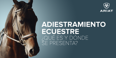 Adiestramiento ecuestre ¿Qué es y dónde se presenta?