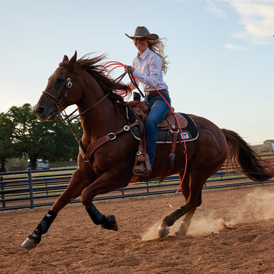 Ariat M xico Ariat Mexico