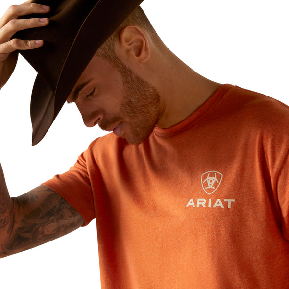 Playera Ariat Box