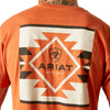 Playera Ariat Box