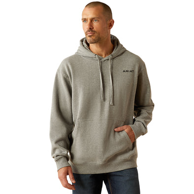 Sudadera Ariat Bold Hex