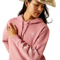 Sudadera Ariat Logo 2.0